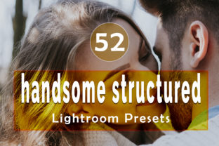 Handsome Structured Lightroom Presets