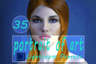 Portrait of Art Lightroom Presets for Add-Ons